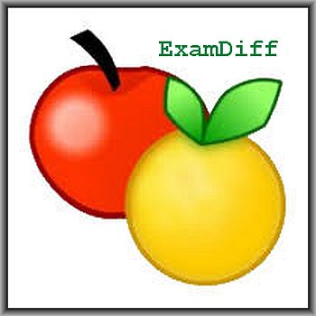 ExamDiff 14.0.1.16 Portable by 9649