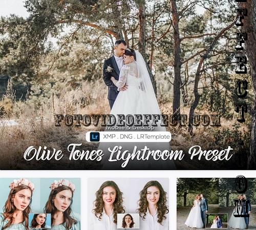 12 Olive Tones Lightroom Preset - CWJT2JE