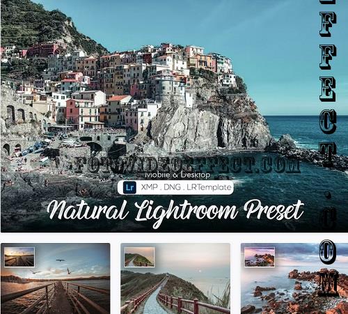 Natural Lightroom Preset - 3CRASX4