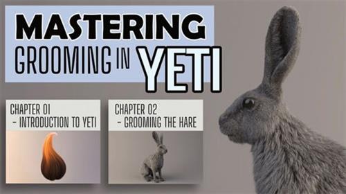 Mastering Grooming in YETI – Groom Course in Maya