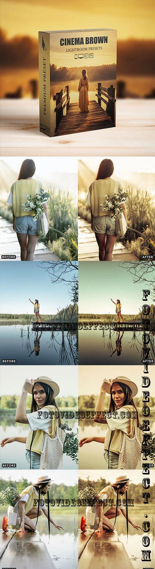 Bohemian Brown Look Instagram Presets - 49384314