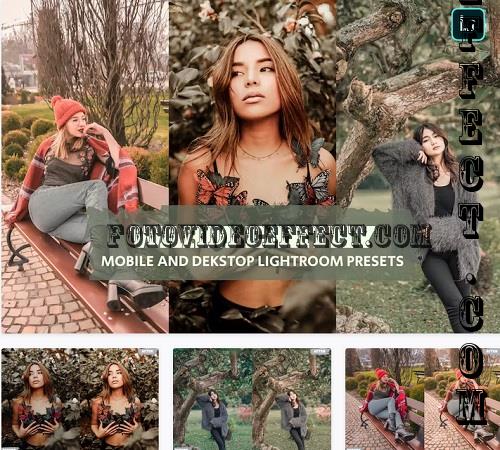 Warm Earthy Lightroom Presets Dekstop and Mobile - CA7YF35