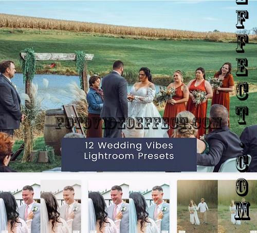 12 Wedding Vibes Lightroom Presets - 37UGD95