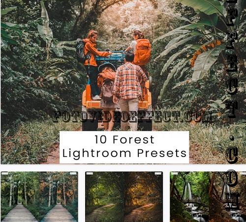 10 Forest Lightroom Presets - S8SCF6U