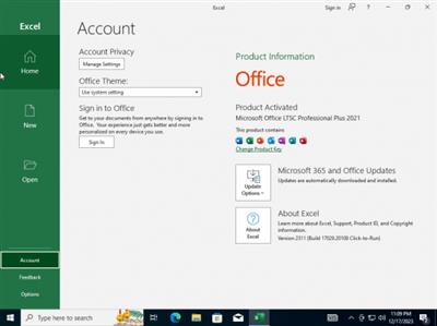Windows 10 Pro 22H2 build 19045.3803 With Office 2021 Pro Plus Multilingual Preactivated December  2023