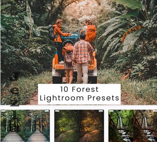 10 Forest Lightroom Presets - S8SCF6U