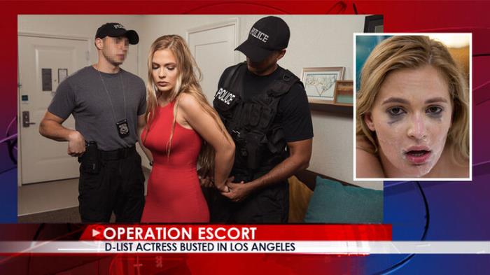 Sloan Harper - D - List Actress Busted In Los Angeles (HD 720p) - OperationEscort - [2023]