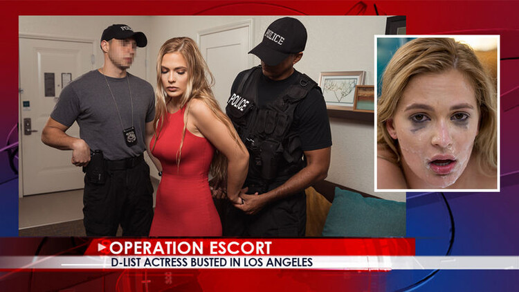 OperationEscort: Sloan Harper - D - List Actress Busted In Los Angeles [HD 720p]