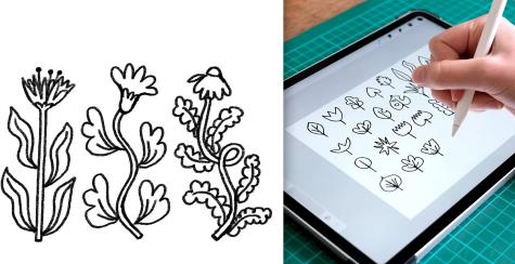 Flowers & Foliage Drawing Plants & Botanical Illustrations in Procreate