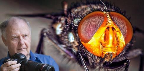 Macro Photography and Focus Stacking Made Easy