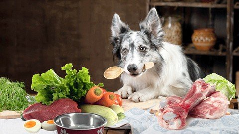 Pet Nutrition For Cats And Dogs