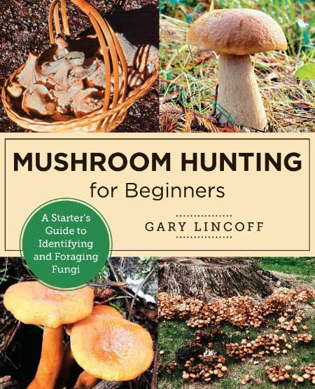 Mushroom Hunting for Beginners by Gary Lincoff