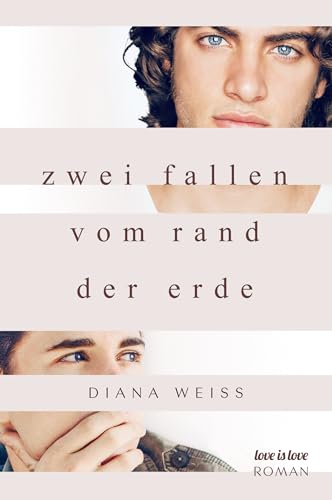 Cover: Diana Weiss - Zwei fallen vom Rand der Erde: Love is Love Roman