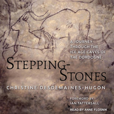 Stepping-Stones, A Journey Through The Ice Age Caves Of The Dordogne - Christine D...