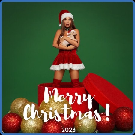 VA - Merry Christmas! (2023) 2023