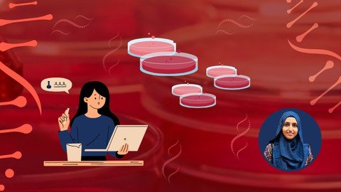 The Introduction To Mammalian Cell Culture – Biotechnology