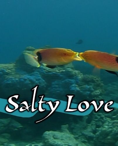 Любовь в соленых водах / Salty Love (2005) HDTVRip 720p | P1