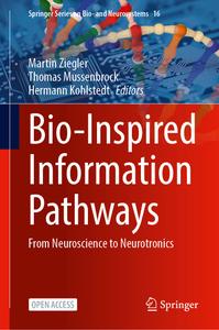 Bio–inspired Information Pathways From Neuroscience to Neurotronics