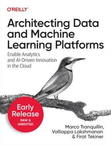 Architecting Data and Machine Learning Platforms (Third Early Release)