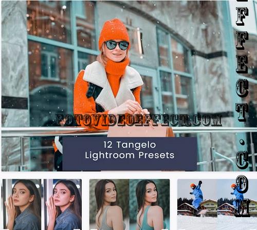 12 Tangelo Lightroom Presets - 5946XU5