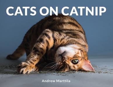Cats on Catnip (Repost)