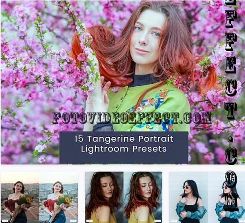 15 Tangerine Portrait Lightroom Presets - K9YWB9Q