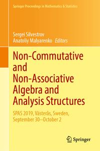 Non–Commutative and Non–Associative Algebra and Analysis Structures
