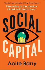 Social Capital Life online in the shadow of Ireland’s tech boom
