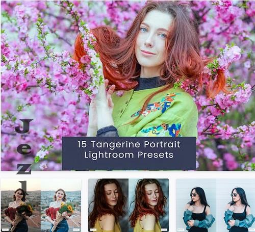 15 Tangerine Portrait Lightroom Presets - K9YWB9Q