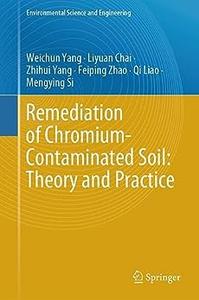 Remediation of Chromium–Contaminated Soil ​Theory and Practice