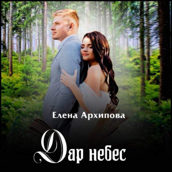 Елена Архипова - Дар небес (Аудиокнига)