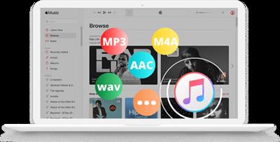 Pazu Apple Music Converter 1.7.7.0  Multilingual