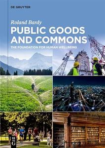 Public Goods and Commons The Foundation for Human Wellbeing