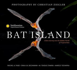 Bat Island A Rare Journey into the Hidden World of Tropical Bats