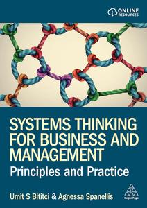 Systems Thinking for Business and Management Principles and Practice