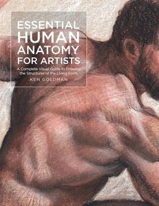 Essential Human Anatomy for Artists A Complete Visual Guide to Drawing the Structures of the Living Form