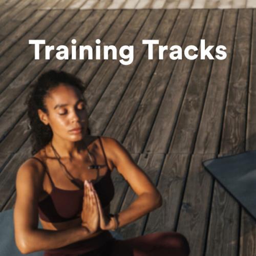 Training Tracks (2023)