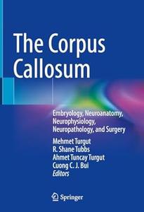 The Corpus Callosum