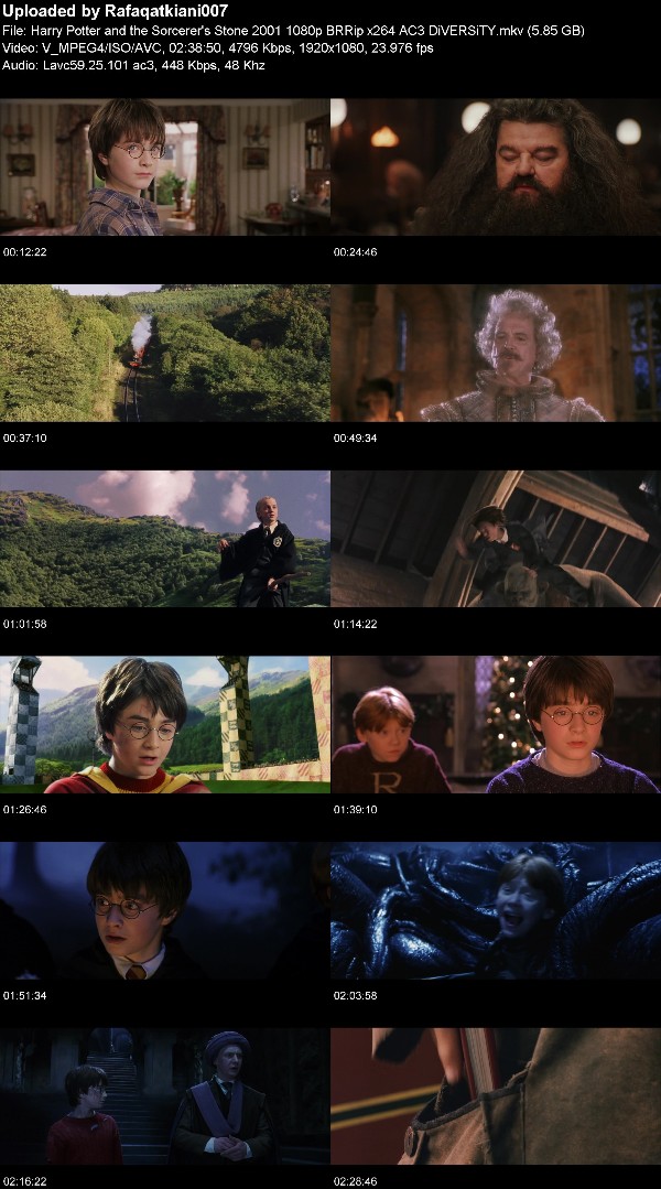 Harry Potter and the Sorcerer's Stone 2001 1080p BRRip x264 AC3 DiVERSiTY