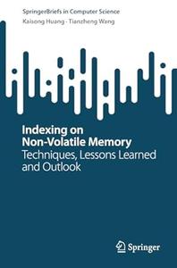 Indexing on Non–volatile Memory Techniques, Lessons Learned and Outlook