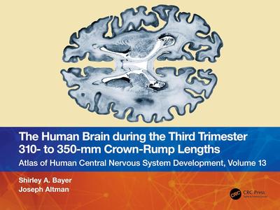 The Human Brain during the Third Trimester 310– to 350–mm Crown–Rump Lengths, Volume 13