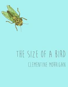 The Size of a Bird