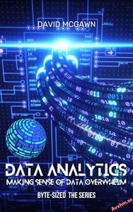Byte-Sized Data Analytics Making Sense of Data Overwhelm