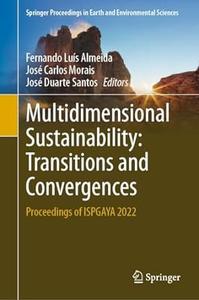 Multidimensional Sustainability Transitions and Convergences