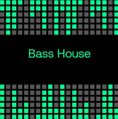 Top Streamed Tracks 2023 Bass House