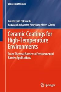 Ceramic Coatings for High–Temperature Environments