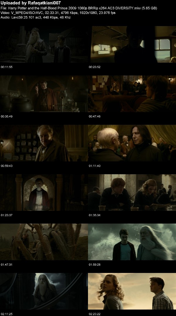 Harry Potter and the Half-Blood Prince 2009 1080p BRRip x264 AC3 DiVERSiTY