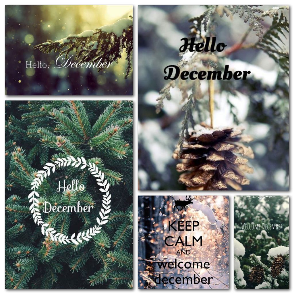 hello december - Page 4 D2f745cc63e4e1590d91038099ca76a7