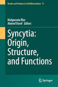 Syncytia Origin, Structure, and Functions
