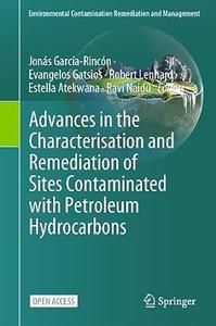 Advances in the Characterisation and Remediation of Sites Contaminated With Petroleum Hydrocarbons